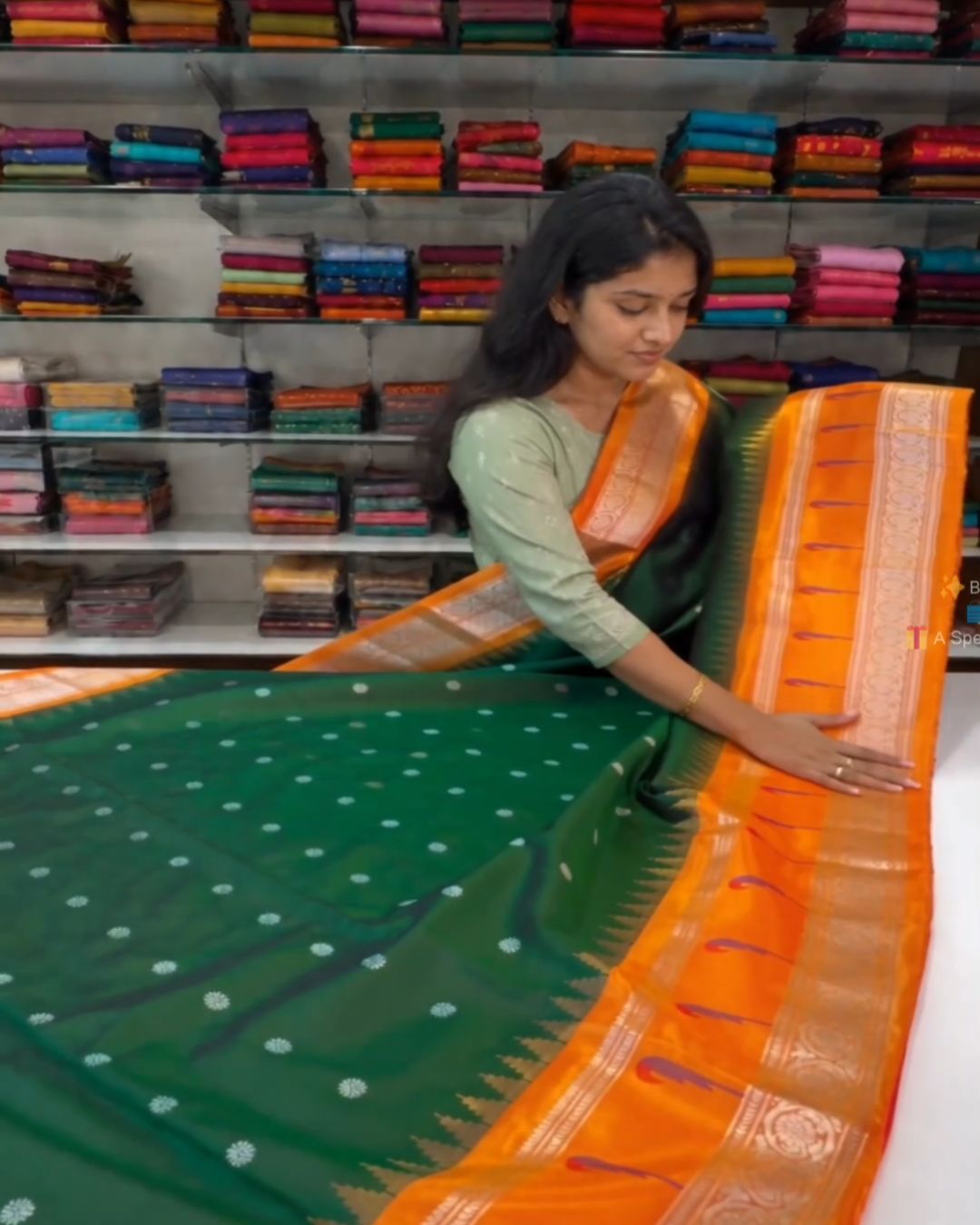 Narayanpet Kanjivaram Silk Saree